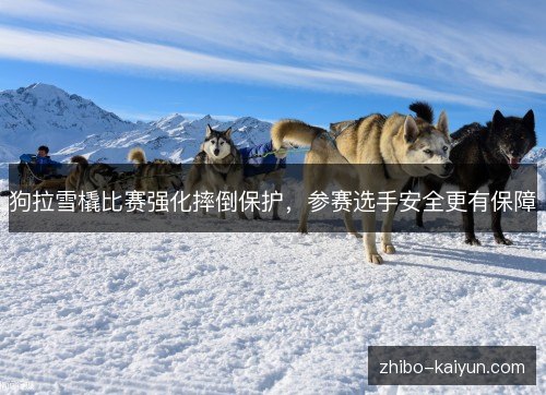 狗拉雪橇比赛强化摔倒保护，参赛选手安全更有保障
